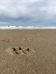 footprints on the sand