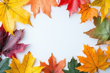 Fototapeta premium Autumn Maple Leaves Flat Lay White Background created with Generative AI
