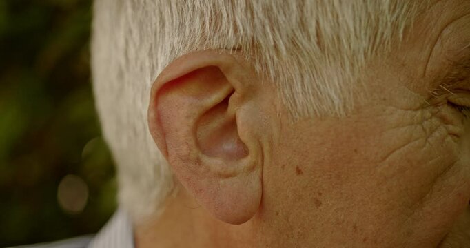 Detailed close-up of an elderly man's ear with grey hair, highlighting aging and outdoor setting.