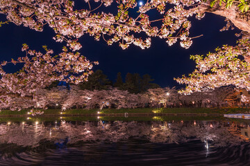 日本さくら名所100選　青森　弘前公園　夜桜ライトアップ