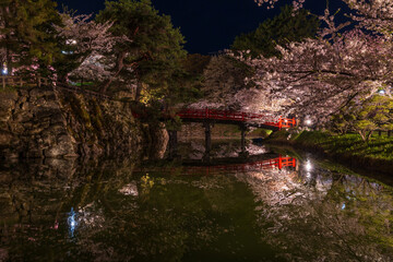 日本さくら名所100選　青森　弘前公園　夜桜ライトアップ