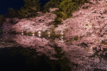 日本さくら名所100選　青森　弘前公園　夜桜ライトアップ