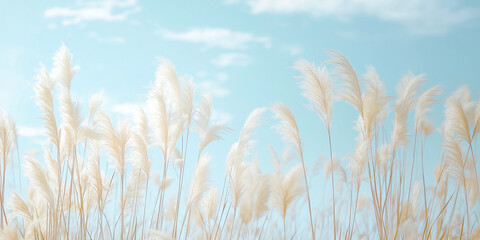 Obraz premium Pampas grass sways gently in the wind under a clear blue sky, creating a serene and picturesque natural scene.