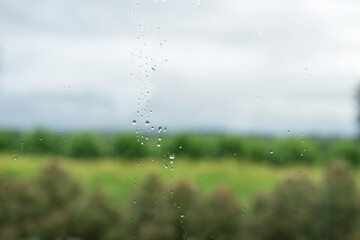 Obraz premium Water droplets on the glass. Rain drops close up on window glass outdoors. Water drop texture background