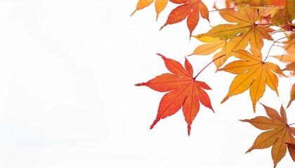 秋　冬　紅葉　もみじ　背景　和風　コピースペース　フレーム　壁紙