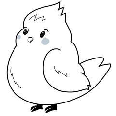Bird