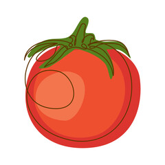 Healthy Food Ingredient Red Tomato Vegetable in Line Art Design