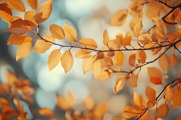 Orange fall leaves in park, autumn natural background , ai