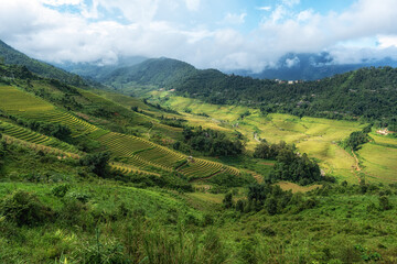 Rice Terrace View in Sapa