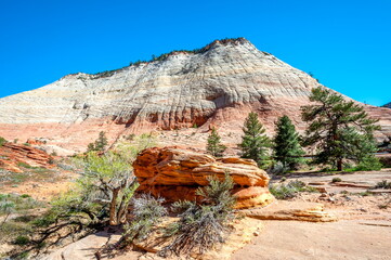 The beautiful spring scenery of Zion National Park. Utah-USA