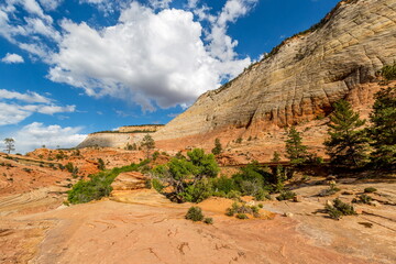 The beautiful spring scenery of Zion National Park. Utah-USA