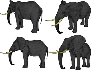 Fototapeta premium Vector sketch illustration of elephant animal silhouette design with long trunk and wide ears 