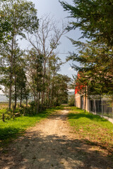japanese garden in autumn Pomacochas Amazonas Perú