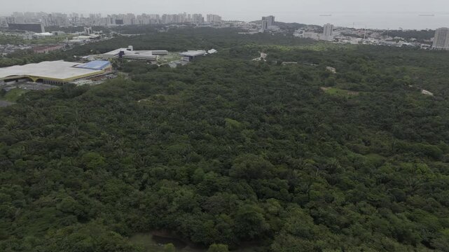 Drone orbits around southeast of Parque Estadual do Sitio do Rangedor on overcast afternoon in Sao Luis, Maranh&atilde;o, Brazil