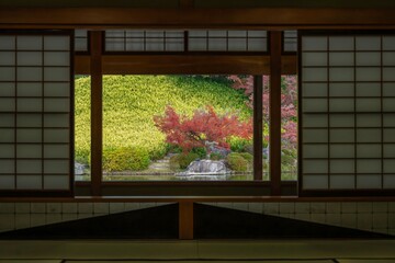 障子越しに見るモミジの紅葉情景