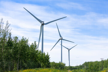 Windmills making green energy in summer in the wood among flowers.