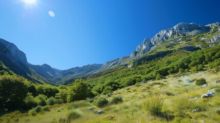 A scenic view of a mountain valley with lush green vegetation under a bright blue sky with the sun...