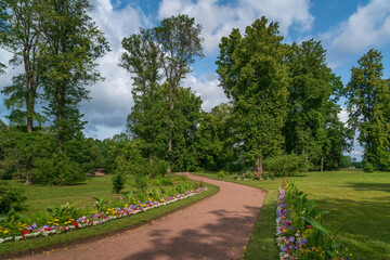 View of the alley in the Oranienbaum Palace and Park Ensemble on a sunny summer day, Lomonosov, St. Petersburg, Russia