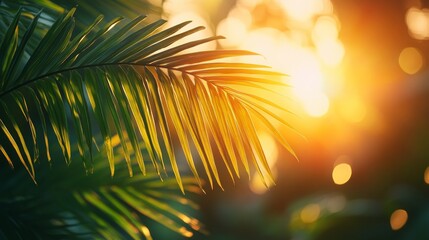 Obraz premium Palm Leaf Silhouette Against Golden Sunset