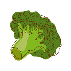 Healthy Green Food Ingredient Broccoli Vegetable in Line Art Design