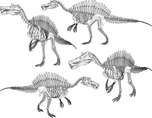 Vector sketch illustration silhouette design image of dinosaur animal skeleton toy room decoration and wardrobe shelf