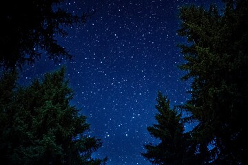 Naklejka premium Stars and night sky. Starry sky background. Looking up at the stars , ai