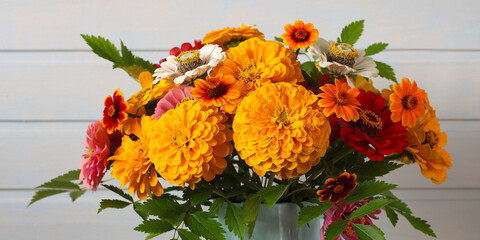 zinnias in the bouquet as a floral background. close-up.