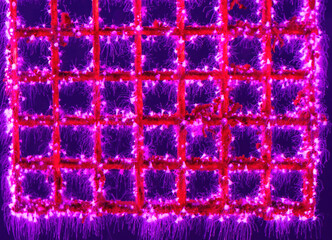 A tiny sessile polyps called a scyphistoma on the grid in Moody Gardens, Texas, Galveston