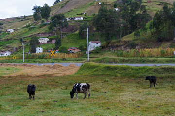 houses and cabins in the mountains