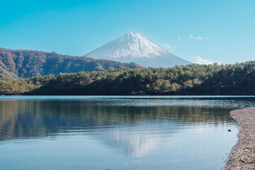 Mount Fuji at lake Saiko near Kawaguchiko, one of the Fuji Five Lakes located in Yamanashi, Japan. Landmark for tourists attraction. Japan Travel, Destination, Vacation and Mount Fuji Day concept