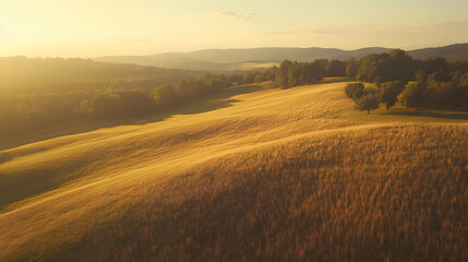 Fototapeta premium The drone flies over a series of gently rolling hills bathed in the warm, golden light of the late afternoon