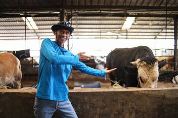 Farmer Man With Both Hands Presenting His Black Cows