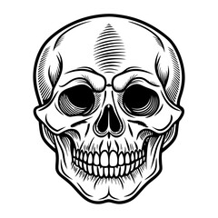 Vintage human skull concept