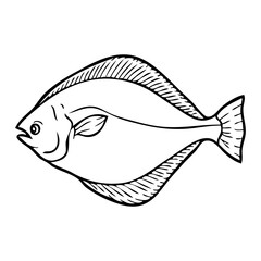 sole fish sketch vector illustration