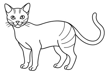 cat line art illustration