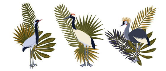 vector drawing crane birds and palm leaves, isolated nature design element, hand drawn illustration