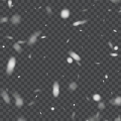 Transparent Snowfall Effect Isolated Winter Background. Vector EPS