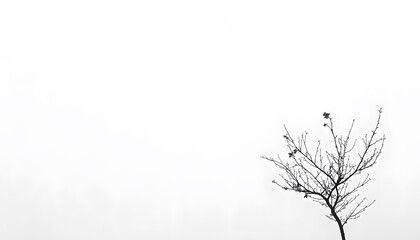 Obraz premium A mostly blank background with a small, centered design, like a tiny star or dot, emphasizing simplicity and space