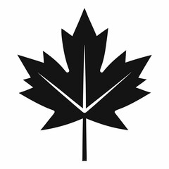 Maple leaf silhouette vector illustration 
