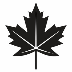 Maple leaf silhouette vector illustration 

