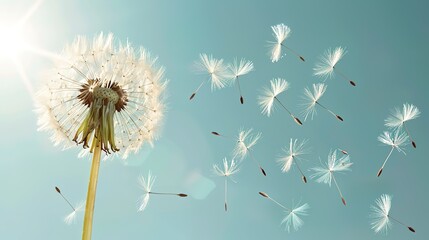 Dandelion pattern wallpaper
