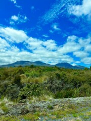 landscape with mountains