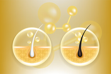 Hyaluronic acid and Niacinamide before and after gray hair and skin solutions ad, gold collagen serum drops into skin cell with cosmetic advertising background ready to use, illustration vector.
