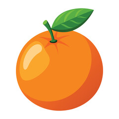 Illustration of Mandarin Isolated on white