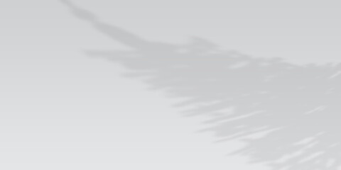 Christmas tree shadow on gray background with copy space. Background minimalist concept.