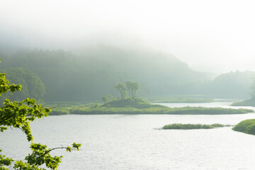 北海道今金町後志利別川の風景