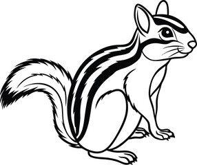 Squirrel outline black and white