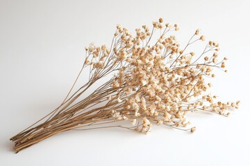 Elegant dried floral background created with Generative AI