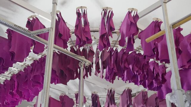 Pink Coloured Animal Hides Drying On Automated Tanning Racks In A Leather Manufacturing Factory.