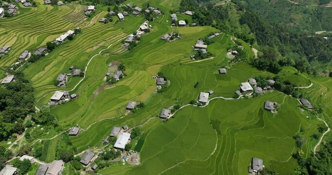 peaceful landscape in terraced fields in Hoang Su Phi, Ha Giang. Video shot in Hoang Su Phi, Ha Giang on July 25, 2023.